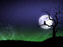 Walpurgis Night Stock Footage