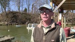 VOICED : Chesapeake Bay oysters make a comeback News Clip