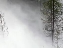 HD Flood Waves Destroying Forest Slow Motion (Loopable) Stock Footage