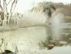 HD SLOW MOTION: Cycling Fast Through A Puddle Stock Footage