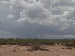 T/L Sonoran desert, rain in distance, Arizona, USA Stock Footage