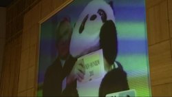 Twin giant panda cubs in Atlanta are named Mei Lun and Mei Huan News Clip