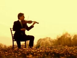 Playing The Violin Stock Footage