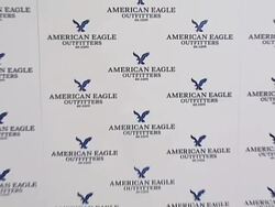 2007 Sundance Film Festival American Eagle White Out Party Stock Footage