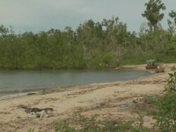 Boats on dirty beach by mangroves, Australia Stock Footage