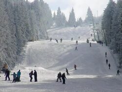 WS View of skier and snowboarder on piste, winter sport and snow ski lift / Erbeskopf, Hunsruck, Rhineland Palatinate, Germany Stock Footage