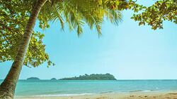 Tropical beach Stock Footage