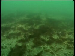 Barren seabed as a result of dredgers from the fishing industry, Conakry, Guinea Coastal areas, West Africa Stock Footage