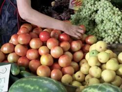 tomatoes seller Stock Footage