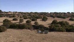 A truck pulls a trailer through Kruger National Park, Africa. Stock Footage