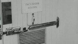 1948 MONTAGE Scientist conducting experiments involving the bacteria in the water supply / London, England Stock Footage