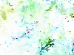 ABSTRACT NATURE CLOSE-UP : SOFT COLORED. slow expanding flow (loop) Stock Footage
