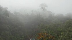 AERIAL Rio Celeste flowing through foggy rainforest Stock Footage