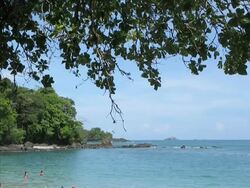 Tropical Beach Stock Footage