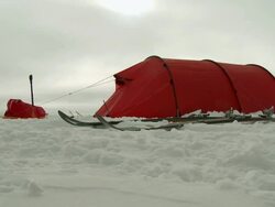 MS of tent in snow with skis and pack sled / South Pole, Antarctica Stock Footage