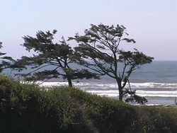 Beach #06 Stock Footage