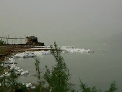 Lake shore with white foam Stock Footage