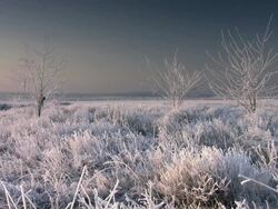 Jogging Stock Footage