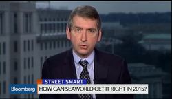 How Can SeaWorld Get It Right in 2015? News Clip