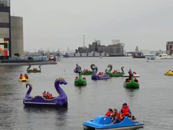 MS Shot of Baltimore Maryland Inner harbor with families out of dragon boats peddling for fun on Chesapeake Bay / Baltimore, Maryland, United States Stock Footage