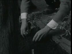 Hippies in Haight Ashbury Stock Footage