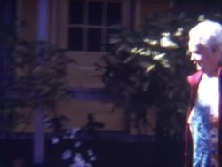 Looking Towards Heaven 1960's Stock Footage