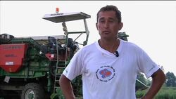 The super tomato that might help tackle disease News Clip