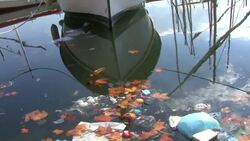 HD 1080i : Water pollution.Environmental damage. Stock Footage