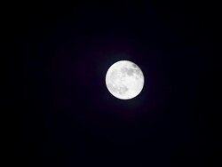 full moon Stock Footage