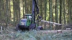 A forwarder, a specialist logging machine cutting down timber in Grizedale Forest, Lake District, Cumbria, UK. Stock Footage