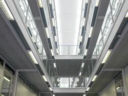 WS TD group of businessmen and women walking along galleried corridor  Stock Footage