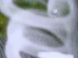 MS Woman spraying glass cleaner foam onto glass door and wipes  / Rancho Mirage, California, United States Stock Footage