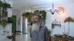 CLEAN : Hebron: settlers miracle ended Palestinians golden age News Clip