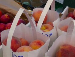 Peaches and nectarines for sale at farmers market in Denver, Colorado Stock Footage