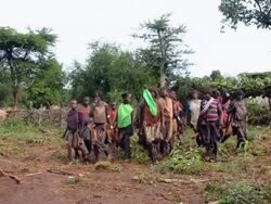 MS PAN Tribal woman in wedding dance, tribal bena tribe / Turmi, Ethiopia Stock Footage