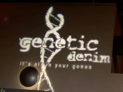 Genetic Denim's One-Year Anniversary and Launch of Their Re-Vamped Collection Red Carpet Stock Footage