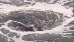 CLEAN : Power and chaos: Anish Kapoor exhibits in Versailles News Clip