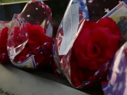 Candlelight Vigil Held Ahead Of Memorial Day At Vietnam Memorial Stock Footage