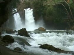 MS Shot of Banias waterfall / Galilee, Israel Stock Footage