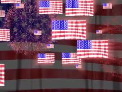 Holiday Celebration Stock Footage