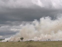 Long Shot static - Smoke billows up from a brush fire on grasslands /  Stock Footage