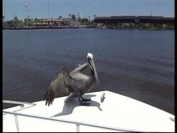 USA - AmeriCares News Clip