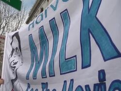 2009 MS TD People holding banner advertising 'Harvey Milk' movie at a same-sex marriage rally/ San Francisco, California, USA/ AUDIO Stock Footage
