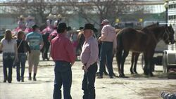 Families enjoying a horse fair in Iowa News Clip