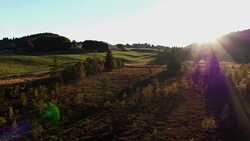 aerial view of lake and mountain in Jura Stock Footage