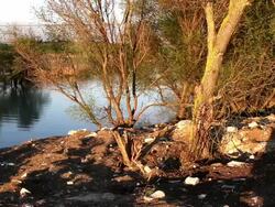 waterside Stock Footage