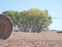 Combine Harvester in Fall Stock Footage