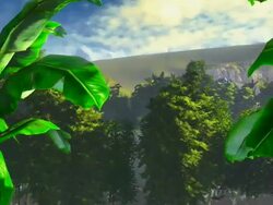 Banana plants Stock Footage