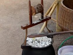 Boiling Silkworm Cocoons. Stock Footage