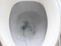 Flushing Down the Toilet Stock Footage